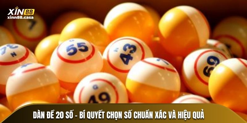 dan-de-20-so-bi-quyet-chon-so-chuan-xac-va-hieu-qua